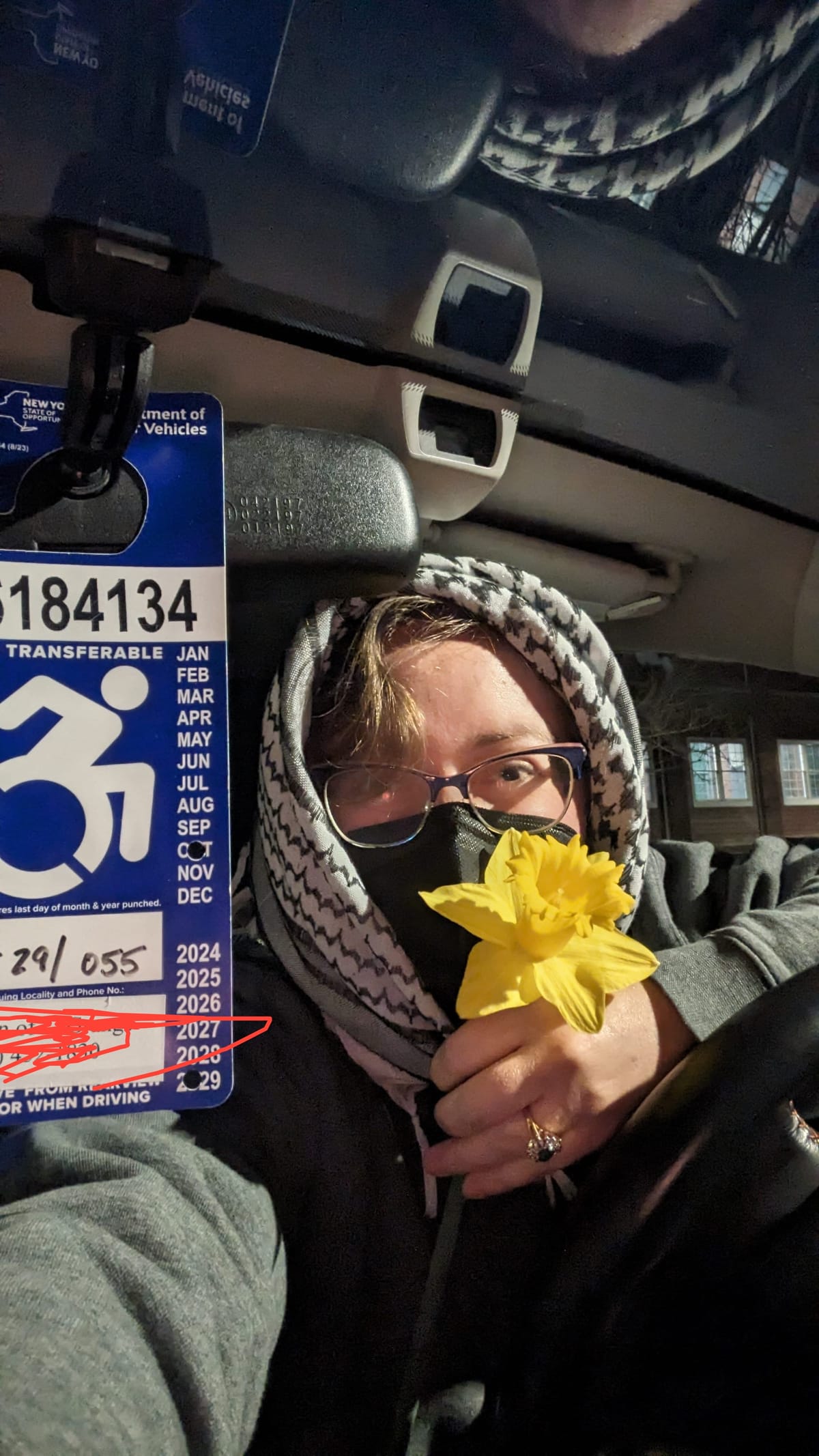 PJ, white woman with glasses and a black mask, is in a grey hoodie and keffiyeh. She is holding a daffodil. There is a blue disabled parking sticker hanging next to her face.
