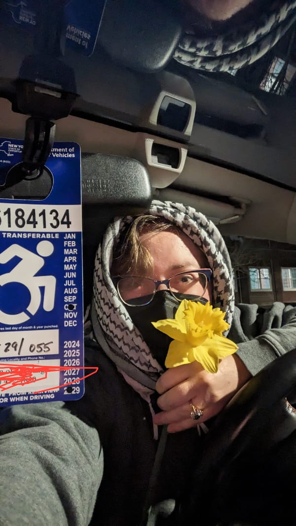 PJ, white woman with glasses and a black mask, is in a grey hoodie and keffiyeh. She is holding a daffodil. There is a blue disabled parking sticker hanging next to her face.
